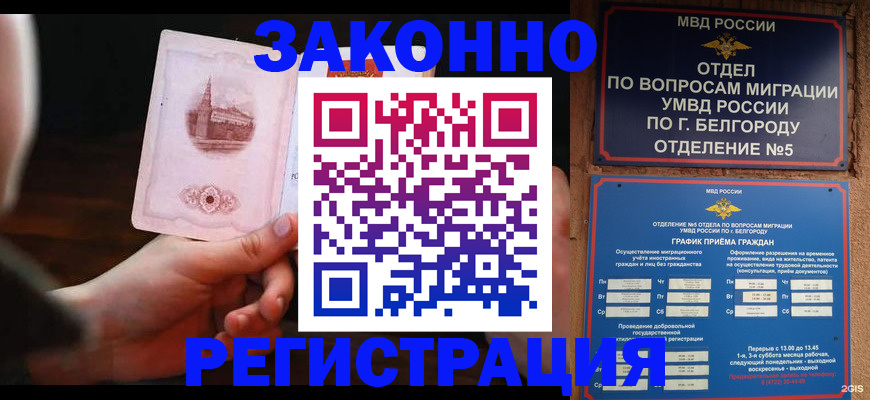 прописка 2025 в Солнечногорске